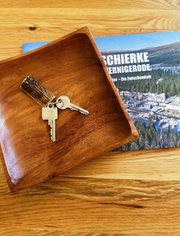 Ferienwohnungen Hexenstieg & Wurmbergblick Schierke Eksteriør billede